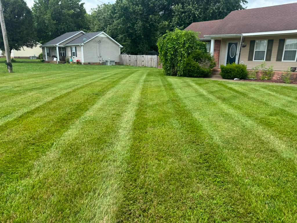 Spring cleanup service